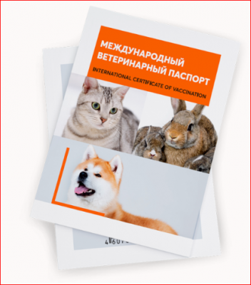 Ветеринарный паспорт для животных